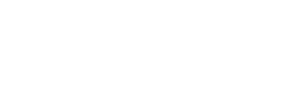 ace96au payment