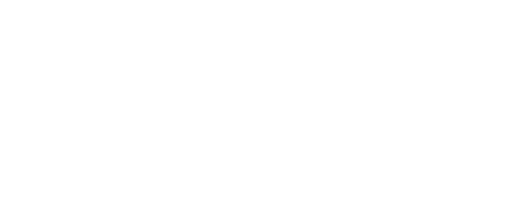 ace96au payment